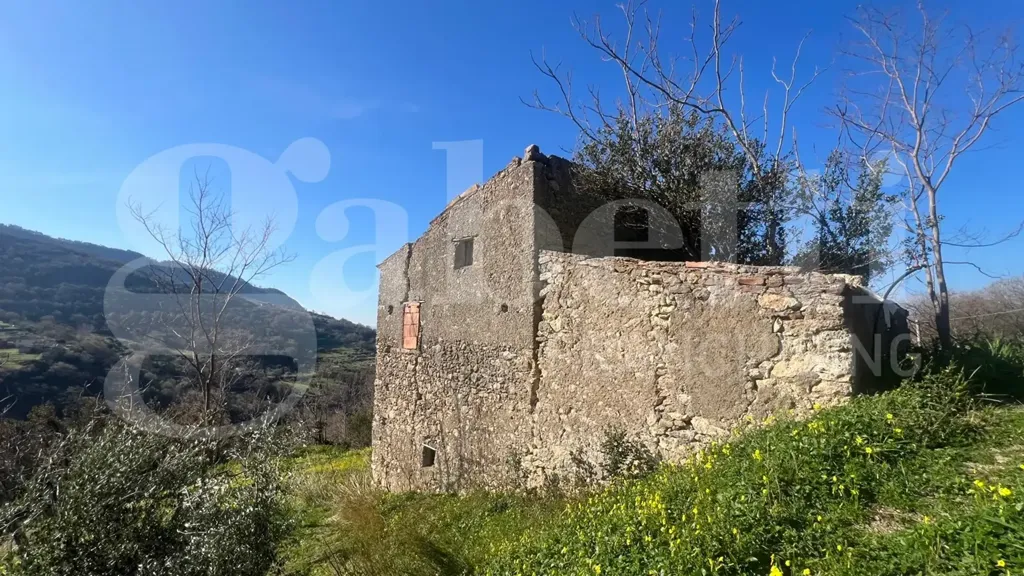 Esterno - Rustic Cielo-Terra in Falconara Albanese