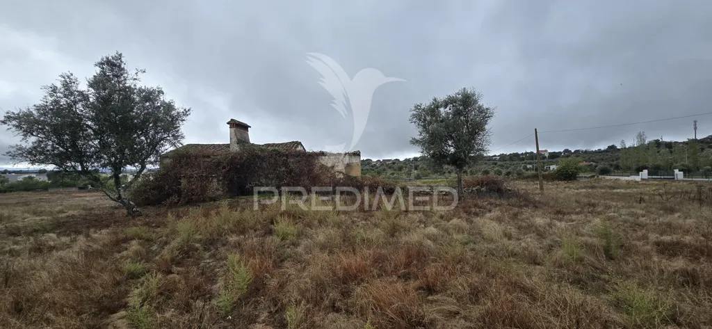 Giardino - Rural Land with Potential in Portalegre
