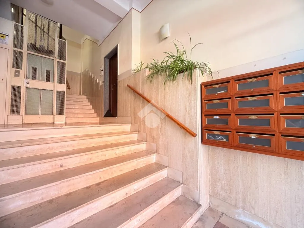 Toad - 2-Bedroom Flat in Central Bari