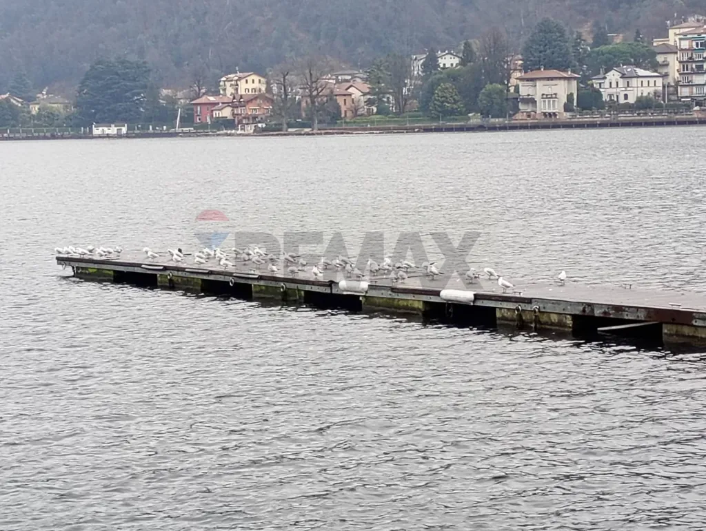 Terreno edificabile con vista lago a Porto Ceresio