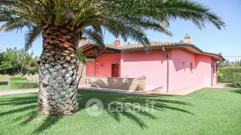 Extérieur - Rustic Villa with Garden in Grosseto