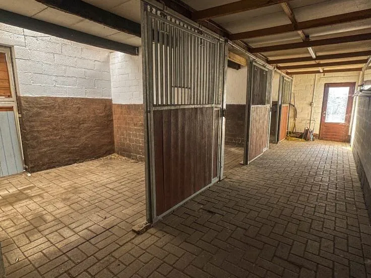 Ingresso - House in Kinrooi, Limburg