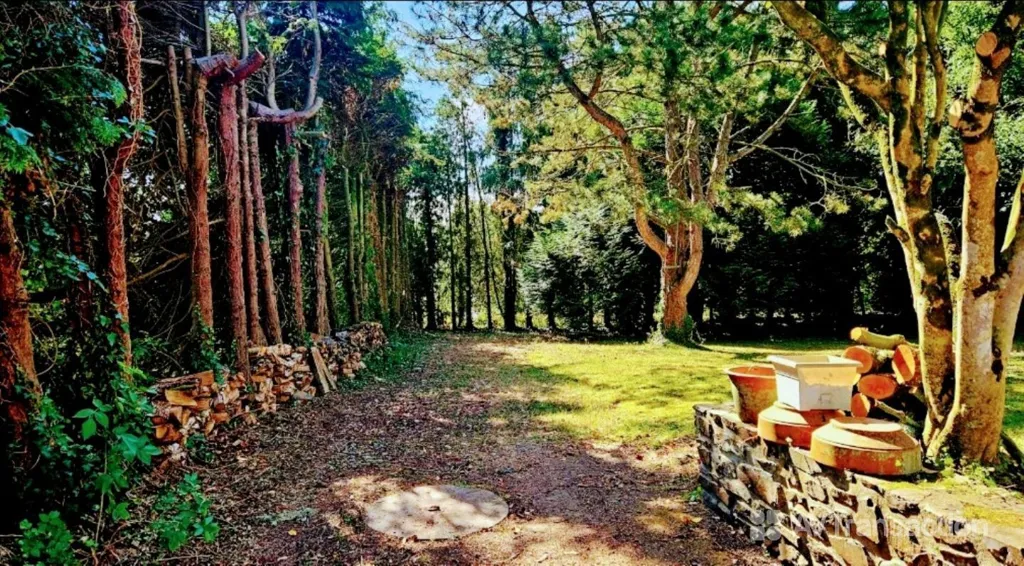 Aed - Stone Longère with Large Garden in Lantic