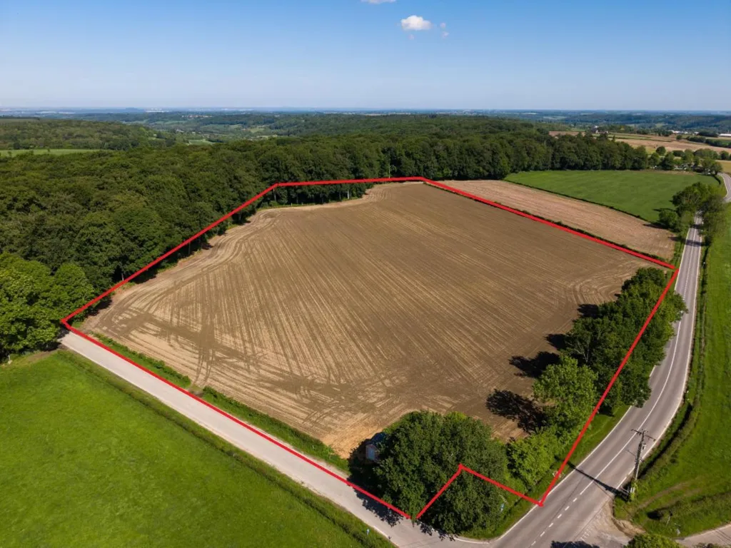 Plan - Terrain Agricole Plat à Rémersdael dans les Fourons