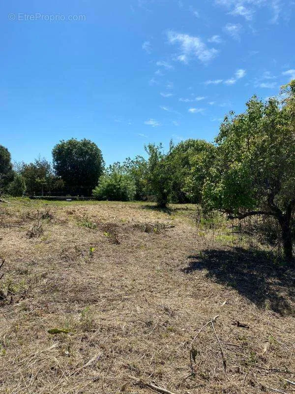 Aed - Buildable Plot with Views in Cannes