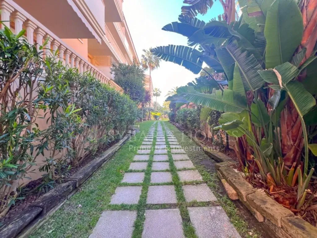 garden