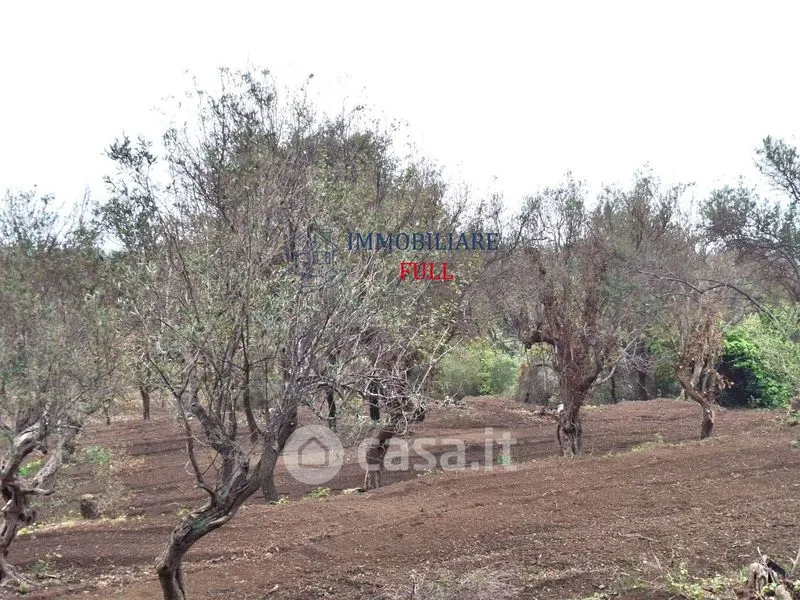 Aed - Rustic Casale with Panoramic View near Messina