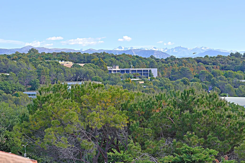 Apartment with Panoramic Terrace in Valbonne-Garbejaire