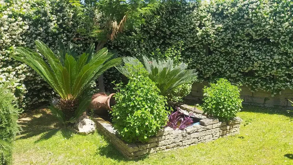 Jardin - Villa with Pool in Zagarolo