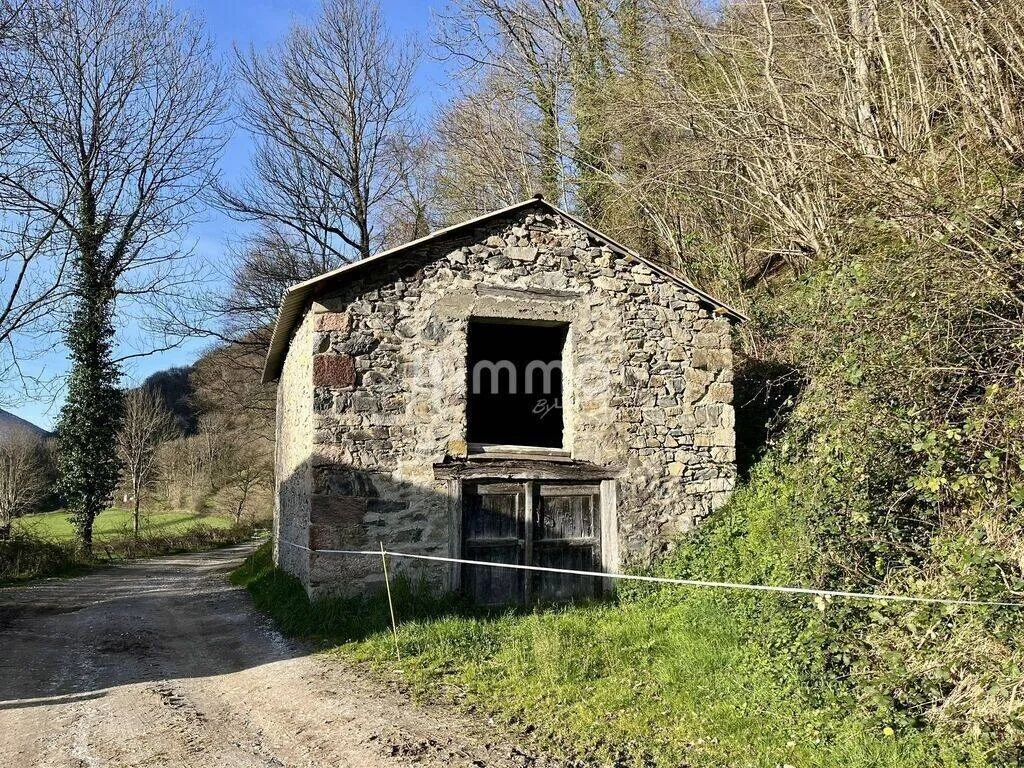 Extérieur - Terrain avec Bois et Grange dans un Village Calme