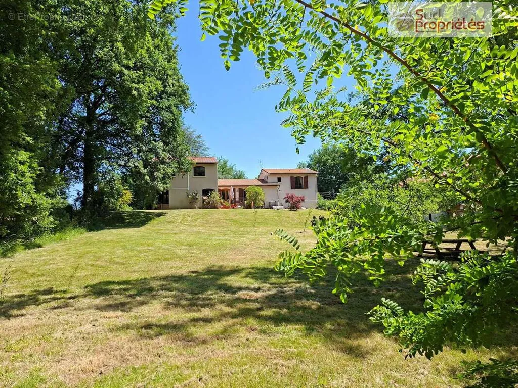 Jardin - Villa des Années 80 avec Grand Terrain à Aurignac