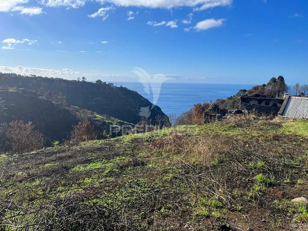 Aed - Two Barns with Land in Raposeira, Calheta