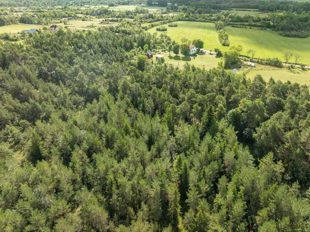 Õhuvaade - Large Plot with Preserved Vegetation in Anga