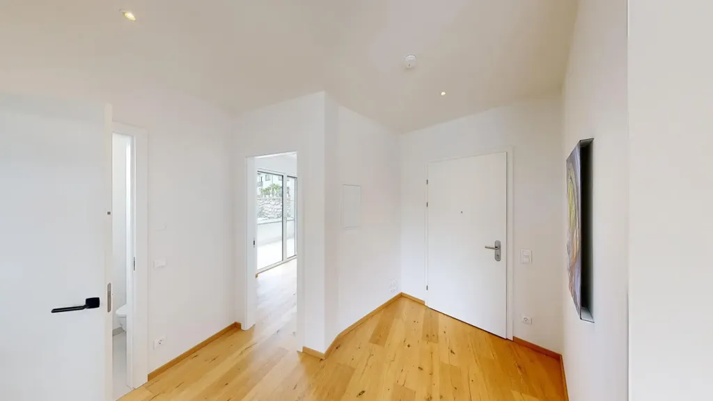 Entrée - Penthouse with Lake View in Millstatt