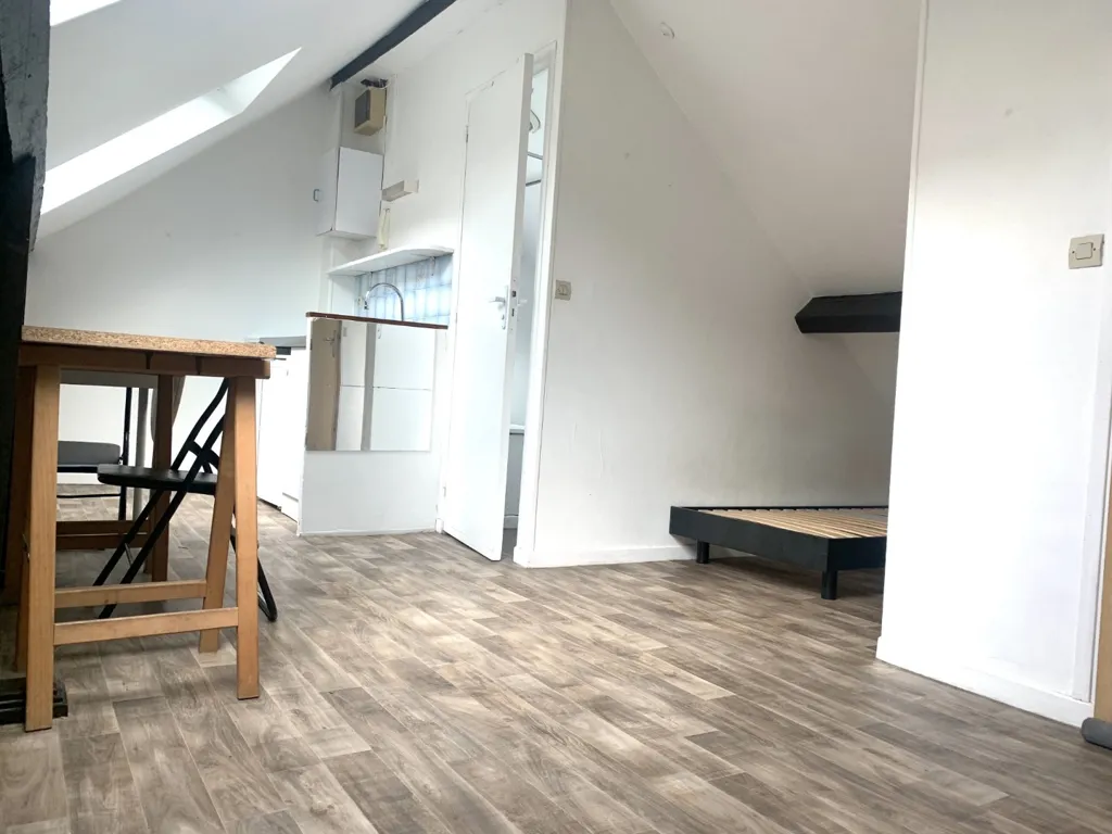 Toad - Studio Apartment with Mezzanine in Lille