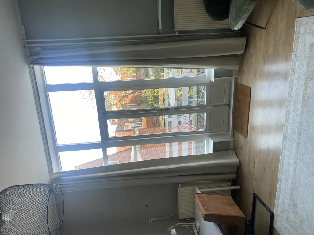 Living Room - Room with Balcony in Schildersbuurt