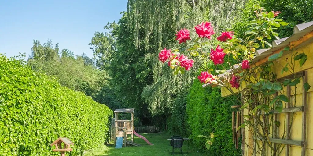 Jardin - Maison Charmante avec Jardin à Balegem