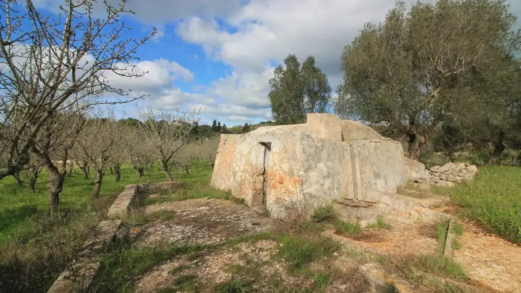 Jardin - Restoration-Ready Trullo with Land in Ostuni