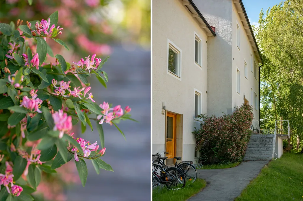 Extérieur - Compact Two-Bedroom in Central Lidingö