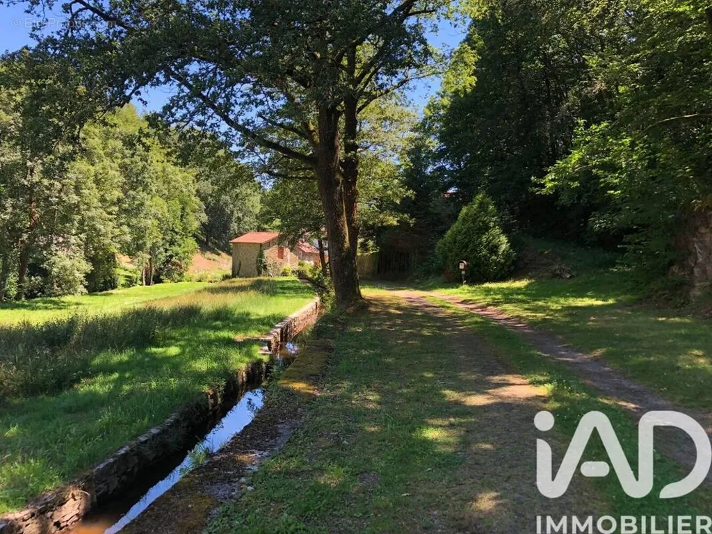 Aed - Historic Mill Domain with 3.6 Ha near Limoges