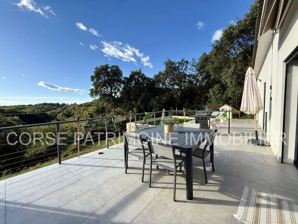 Terrasse - Villa Moderne avec Piscine à Cervione