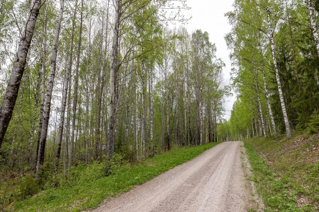 Jardin - Forest Property with Timber in Ljusdal