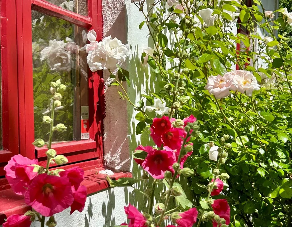 Aed - Scandi Farmhouse with Pool and Views in Ystad