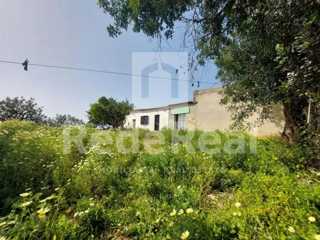 Aed - Luxury Villa with Panoramic Views in Cerro do Lobo
