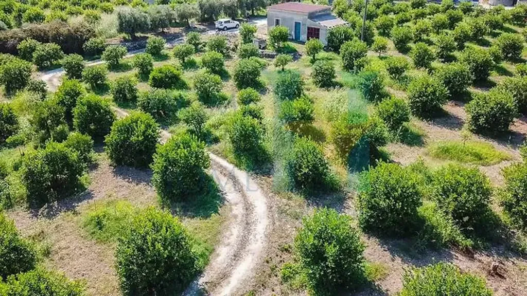 Õhuvaade - Warehouse with Lemon Grove near Avola