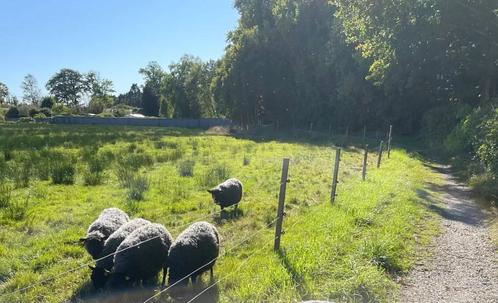 5-toaline maja asukohas Tjörns kommun