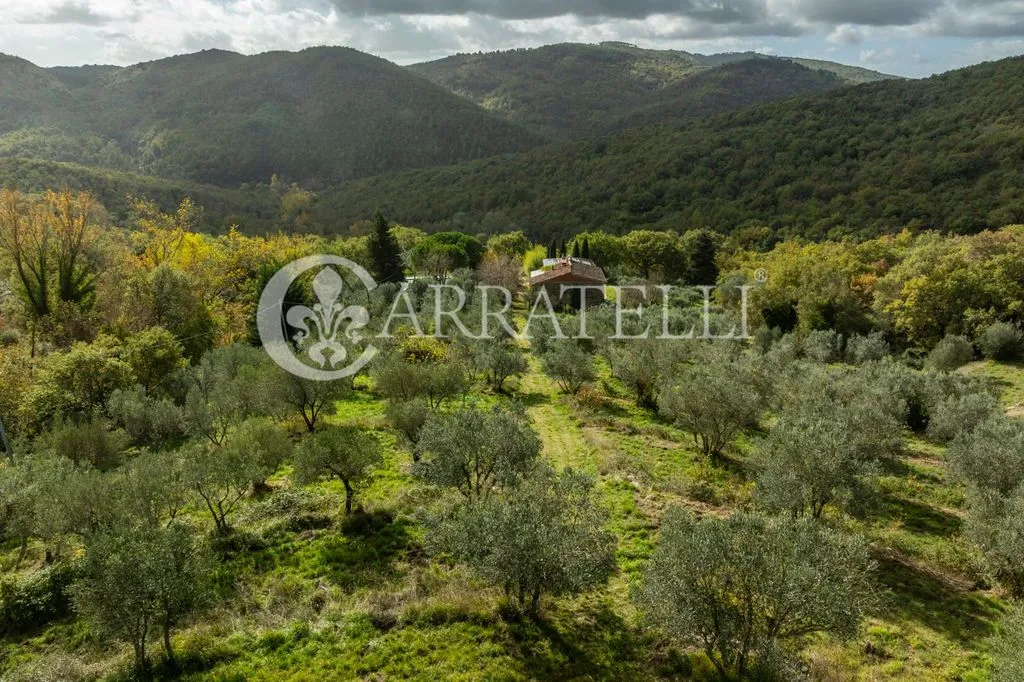 Jardin - Luxury Villa with Panoramic Pool in Laterina