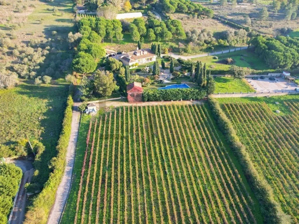Vue aérienne - Farm with Pool and Vineyard in Azeitao