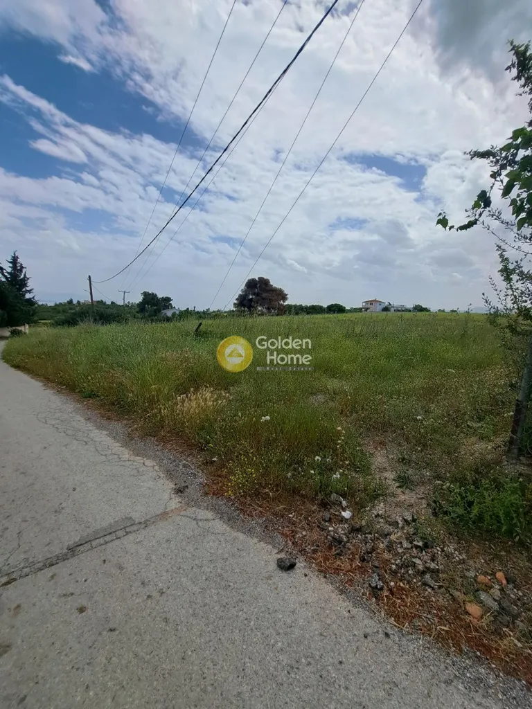 Aed - Agricultural Plot with Sea View in Schimatari Centre