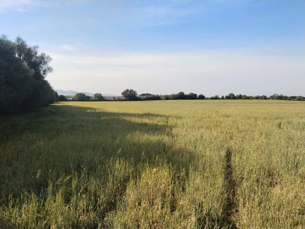 land_plot