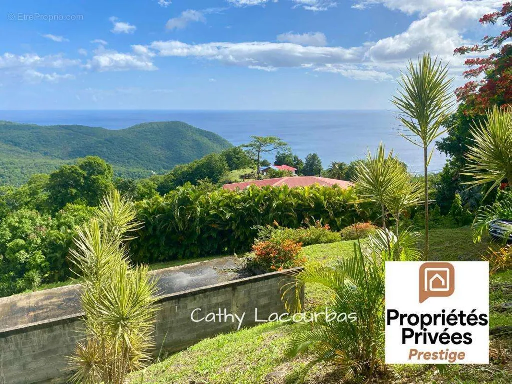 Aed - Panoramic Sea & Mountain View Plot in Pointe Noire