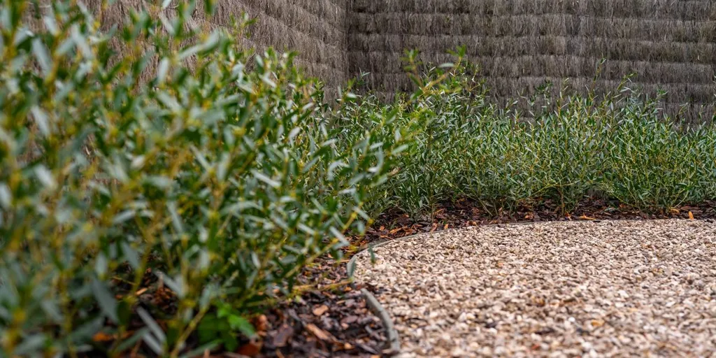 Jardin - Maison Neuve avec Terrasse et Jardin à Langemark