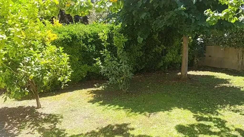 Jardin - Villa with Pool in Zagarolo