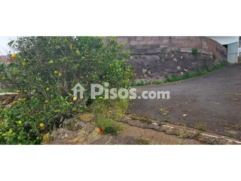 Aed - Rustic Farmhouse with Bodega near Calle Real