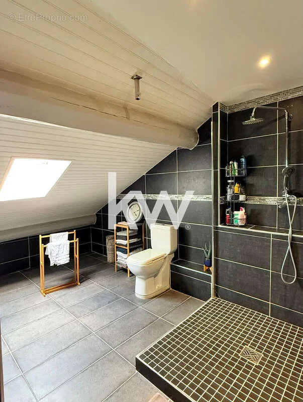 Vannitoad - Duplex Apartment with Terrace in Saint-Etienne