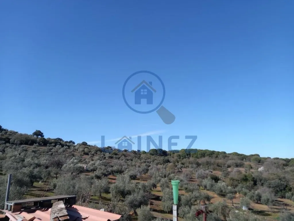 Jardin - Country House with Mountain Views in Villanueva del Rey