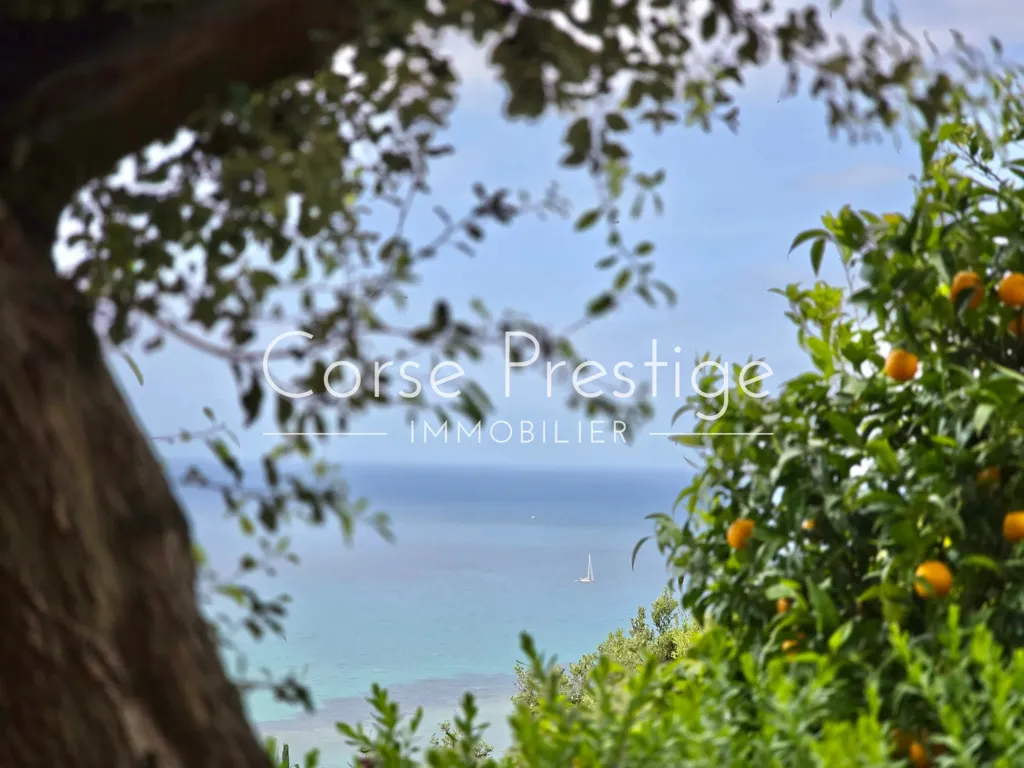 Aed - Villa with Pool and Sea-Views in Saint Florent