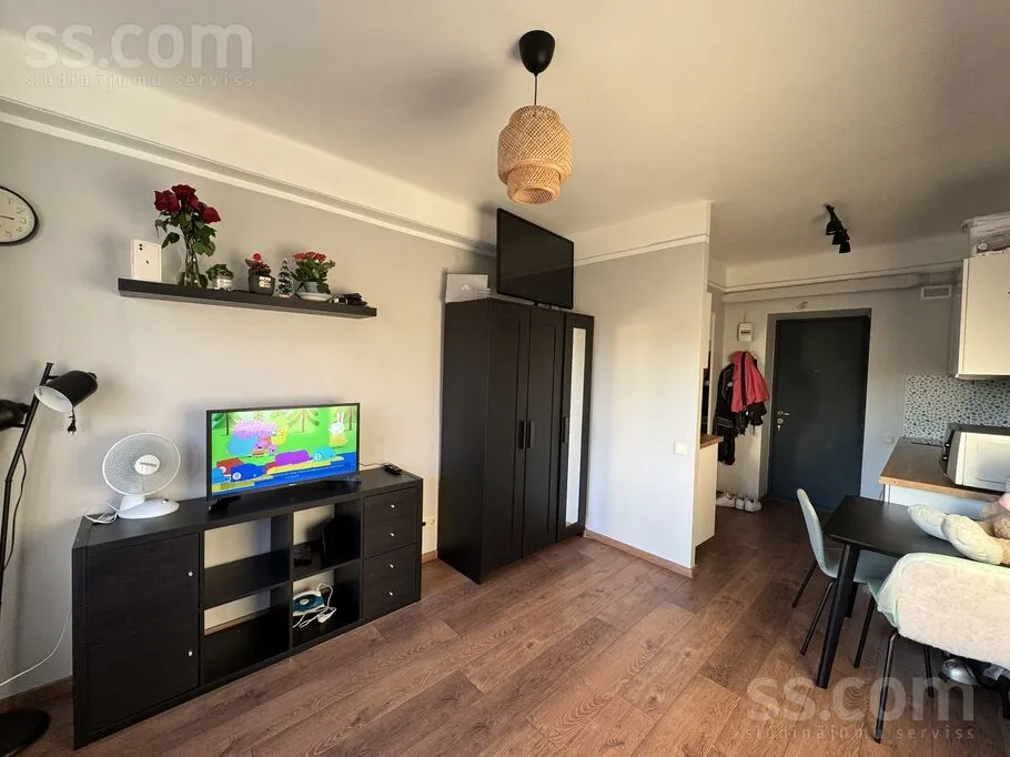 Living Room - Renovated Apartment in Quiet Jugla, Riga