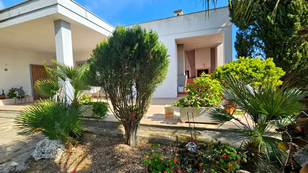 Terrasse - Villa with Olive Grove near Carovigno