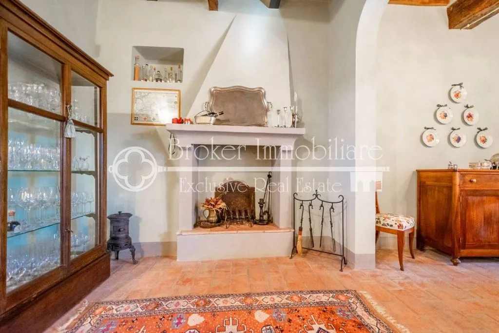 Living Room - Rustic Villa with Olive Grove in Massarosa