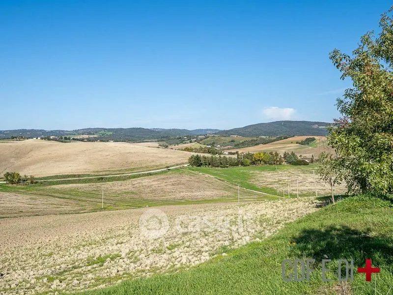 Garden - Rustic Casale with Panoramic Views in Scansano