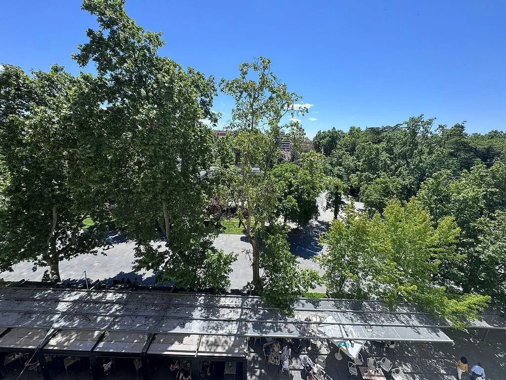 Apartment with Terrace in Palencia Centre