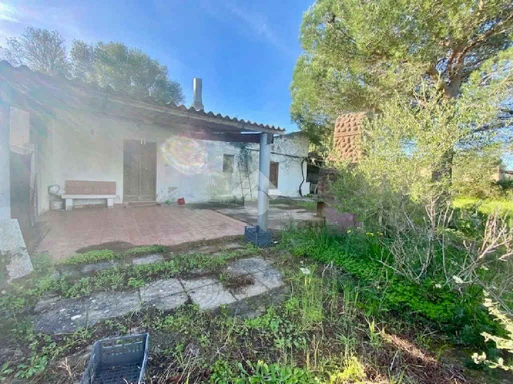 Garden - Rustic House with Garden View in Alghero