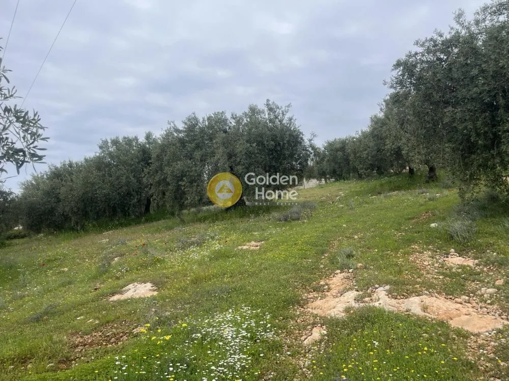 Land in GR