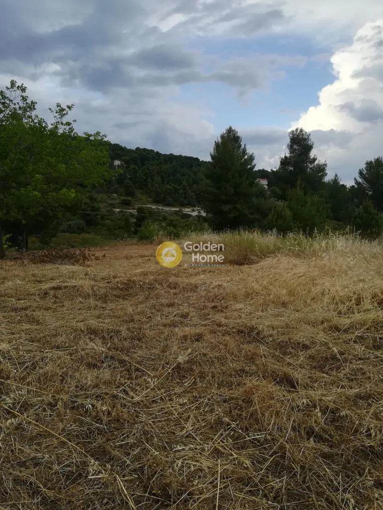 Aed - Buildable Plot with Sea View in Theologos