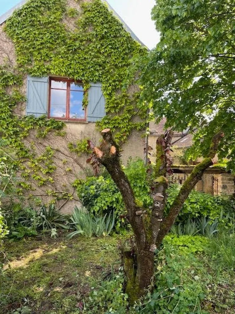 Extérieur - Maison Ancienne avec Dépendances à Brion-sur-Urce